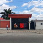 The Role of Traditional Rulers in Modern Governance